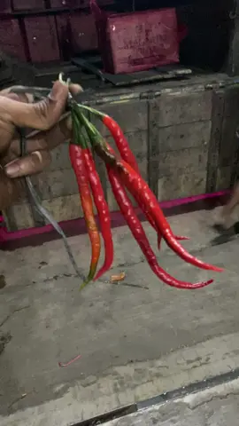 Bismilah muat cabe balap malam ini, semoga sampek tujuan💪