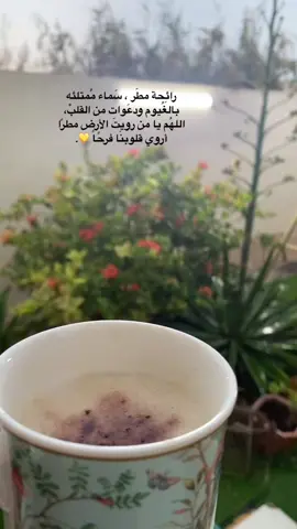 #صباح المطر واجواء جميله #سحاب_غيم🤍 #اكسبلور_تيك_توك 