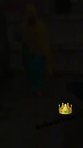 viral Ka E Da Video 