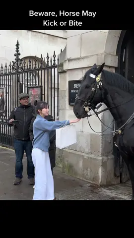 BEWARE, Horse May Kick or Bite!  #foryou #horseguardsparade #king #guards #foryoupage #foryourpage #viral #trending #uk 
