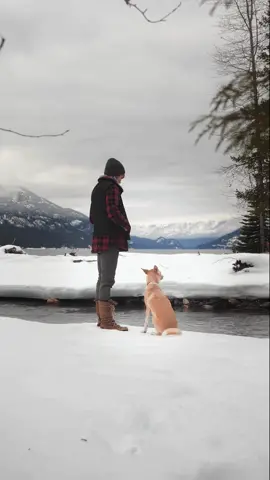 Peacefully melancholy, misty mountain walks with my favourite little souls  #mistymountains #britishcolumbia #slocanvalley #SelfCare #release #letgo #getoutside #rescuedog #adventure #peace  #explore #mountains #Hiking #bythewater #nature #naturetherapy #adventuredog 