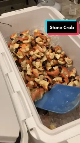 Putting food in your grocery stores. Tiktok this does not harm the crab. This is perfectly legal with a license. #florida #fish #fishing #fishtok #crab #boat #lobster #snapper #diving 