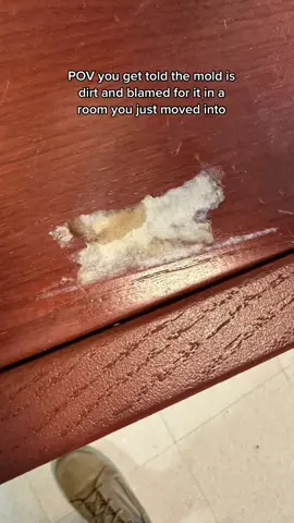 #stitch with @faithirismac13 #militaryhumor #militarylife #military #militarytok #miltok #mold #blackmold #moldtoxicity #militaryhousing  #greenscreen 