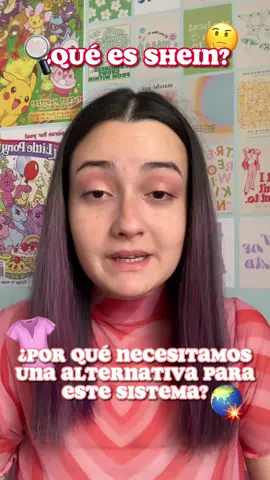 un resumen de la doble cara de la problemática SHEIN! a tomar consciencia del origen de nuestras prendas #moda #fashion #shein #argentina 