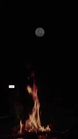 ‏ذباح ماتدمي وجرحك لحاله  ‏يامورد الهايم على الموت بسكات  ‏.ليت الولايف مثل وضع العماله  ‏من غاب بلغنا عليه الجوازات