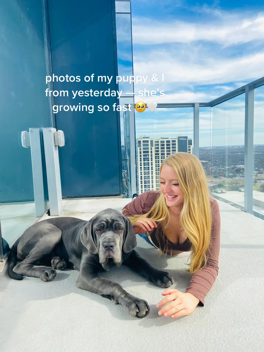 MY GIRL 🤍 #mastiffpuppy #neapolitanmastiff #puppiesoftiktok #dogmom #atx 