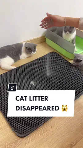 Get this ✨XL Litter Mat✨ on our site today 😻💫