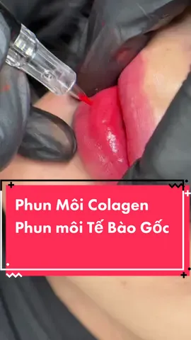 Phun môi colagen giúp làm môi bóng mượt có thật ko? #khuthammoi #phunmoi #phunmoicollagen #TongTranPhunXam 