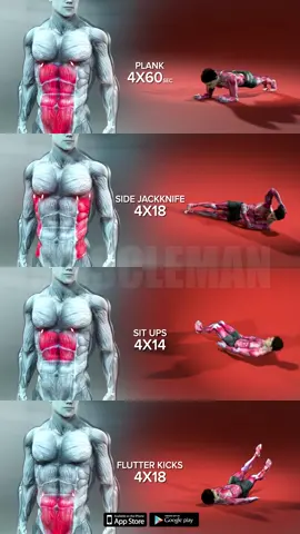 Target #muscles with #customized #workout #plans by training with #muscleman 🔥 #Hustle for the #muscle 💪🏻 Together we push #hard to get #strong 💯 #fypシ 