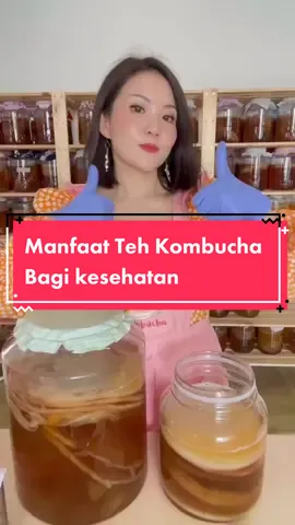 Manfaat #Kombucha bagi kesehatan