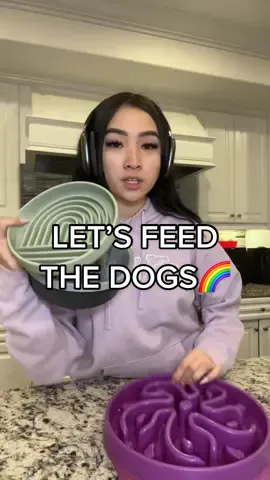Let’s see if the dog some breakfast🌈 I decided to film a little bit different today😅 everything mentioned is listed on my website✨ ##dogfeeding##dogfoodrecipe##dogfeedingroutine##doglet me know how you guys like this style heheh I was thinking about doing more videos like this but story times instead! Let me know heheh I’m all ears 