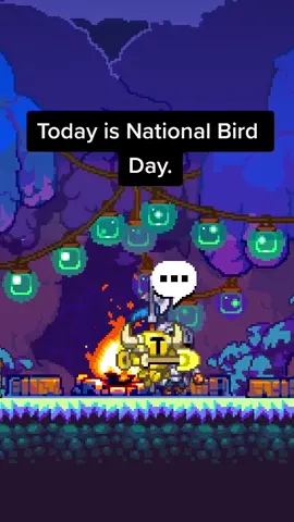 happy #nationalbird day!