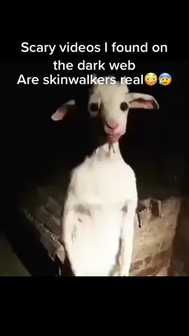 Spooky #scary. #Spooky #SkinWalker #GoatMan #Demon #haunted #fyp 