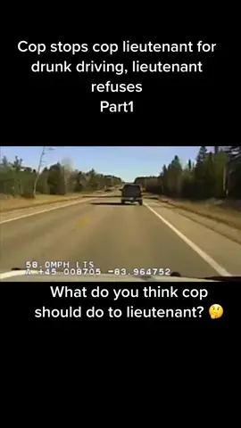 Part 1. Cop stops cop lieutenant for drunk driving, lieutenant refuses  #cops #copsoftiktok 