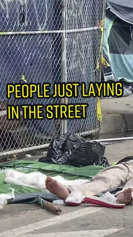 It’s very scary when they do this at night. You literal can’t see them. #foryou #losangeles #homeless #community #MentalHealth #addiction #shelter #fyp #audacityofhope111 #legend_e #glowinlove111 
