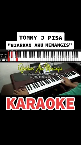 TOMMY J PISA 