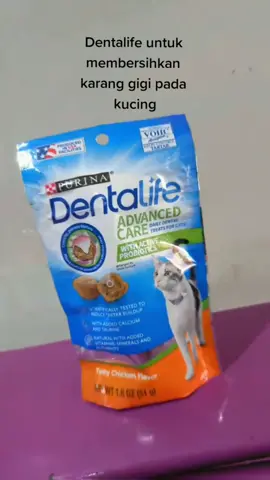 snack untuk kucing kesayanganmu