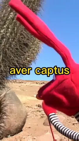 f por bodoque #capcut #captus🌵 #bodoque31minutos #ariela640 #31minutosfans #31minutos #bodoquextulio 