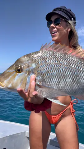 Would you eat this fish? #fishing #angler #monsterfish 