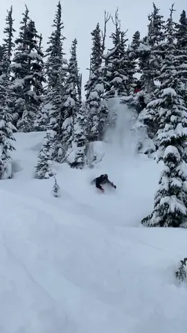 lil cliff drop off the tree branch and into some waist deep pow ☃️🏔️🌊🏄‍♂️🤿 #powday #whistlerblackcomb #whistlerbc #prosnowboarder #cliffdrop #waistdeep #powslash #blackcomb #freshsnow #stylematters 