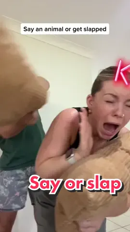 🐨