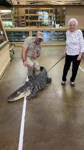 Haha when Granny shows up you need to be ready 😂🐊🐊 dance #haha #alligator #dance @Ross Smith #granny 