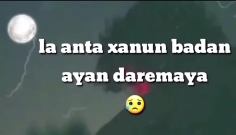 #❤️❤️❤️❤️❤️ #foryou #thequeen #somalitiktok #KAYKissCountdown #viral #foryoupage #🥀🖤 #fyp #🥀🥀🥀🥀🥀🥀🥀🥀🥀🥀🥀🥀🥀🥀🥀 #🥀🖤 #✅✅ #fyp 