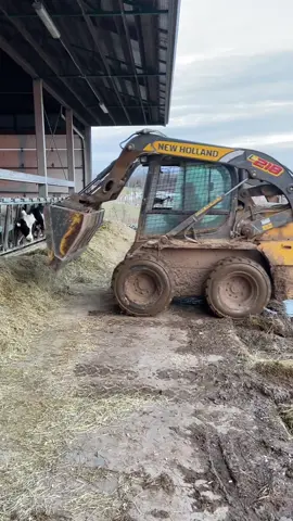 This stuff is heavy so he uses the skidsteer to push it! #newholland #skidsteer #itsagreatdaytobealive #travistritt #LearnOnTikTok #dairyfarm #dairy #drinkmilk #robots #gea #cowfarm #agriculture #agtok #fyp #foryou #fypシ #the_beef_boys #fypシ゚viral #cowtok #farmtok #cute #kids #kidoftikok #kidtok #raisedonafarm #workhard #learn #learning #novascotia #canada #viral #viralvideo