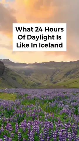 Summer 2023: planned and ready! #Summer #iceland #traveltiktok #icelandadventure #hiddengems #bucketlist #bucketlisttravel #traveltok #TravelMemories #LearnOnTikTok 