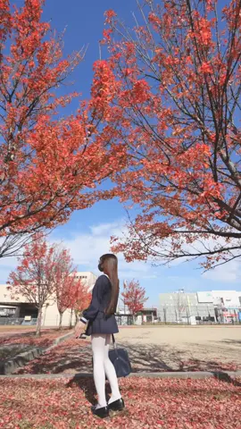 セーラー服ミニスカートに白タイツの格好で紅葉の季節の公園ではしゃいでいる動画です。#セーラー服 #制服 #ミニスカート #白タイツ #ロングヘア #ストレートヘア #地毛 #セルフィー #公園 #紅葉