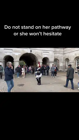 Keeking up with the good works of King’s Guards & Horses | Day 03 | Do not stand on her Pathway or she Hesitate! Please help complete the sentence!!! #foryou #horseguardsparade #king #guards #foryoupage #foryourpage #viral #trending #uk 