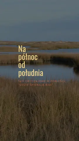 Tło obyczajowe w powieści 
