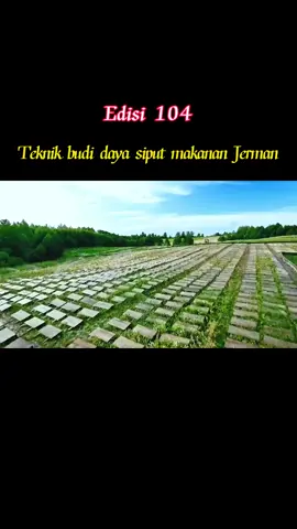 Fokus pada pertanian, fokus pada kehidupan#kehidupan #pertanian 