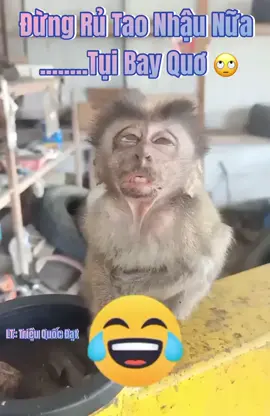 Đừng rủ T nhậu nữa tụi bây ...quơ