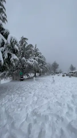 Snow Fall in Malamjabba swat valley. 