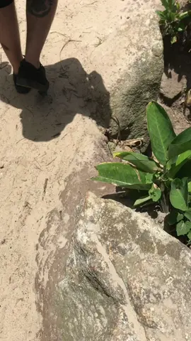 🌞🌊
