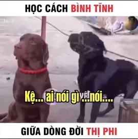 Bình tĩnh sống #xuhuong 