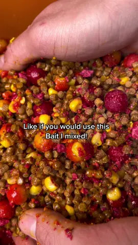 Best Carp Bait 🐟 #fyp #foryou #carpfishing #fishing #nayzofishing #angler #fishtok #carpbait #viral 