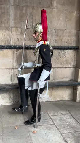 Young Guard on Duty Do not trespass  #foryou #horseguardsparade #king #guards #foryoupage #foryourpage #viral #trending #uk 