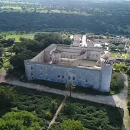 Castello di Donnafugata 🏰Ragusa❤️❤️Sicily Il Castello di Donnafugata è un’enorme dimora nobiliare ottocentesca voluta dal barone di Donnafugata che è circondata da un parco di 8 ettari. Grandi ficus, specie mediterranee e esotiche coprono una vasta area ricca di sorprese: un tempietto circolare, una caffeaus e un grande labirinto con muri a secco. All’interno 120 lussuose stanze sono divise su 3 piani. Tra gli sfarzosi saloni si respira ancora l’atmosfera dell’aristocrazia siciliana di fine 800. Si può passare dalla sala della musica arredata con pianoforti, alla pinacoteca, dalla sala degli specchi a quella degli stemmi in cui sono presenti i blasoni delle famiglie nobili siciliane. Il castello prende il nome dal feudo Donnafugata secondo una leggenda, potrebbe derivare da donna-fuggita e sarebbe legato alla regina Bianca di Navarra, rinchiusa nel castello da Bernardo Cabrera, conte di Modica. La regina con la sua fuga avrebbe dato nome al castello, ma per quanto affascinante sia la storia rimane solo una leggenda. #viaggiaresempre #nature #travelgram #picoftheday #explore #sicilia #culturasiciliana #neiperte #sicily #sicilia #seesicily #italy #travelblogger #culturasiciliana #viral #neiperte #turismo #viaggiare #viaggio #vacanze #italia #travelgram #travelphotography