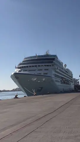 🛳️ El Puerto de Mazatlán se engalanó esta mañana al recibir a los cruceros Carnival Panorama, Koningsdam e Insignia. con más de 10 mil visitantes a bordo. Para mañana miércoles también se espera la presencia de otros tres. #sinaloa #Cruise #Mazatlán