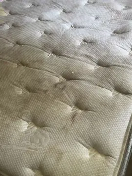 Deep cleaning dirty mattress #detailing #fyp #instagood #clean #detailersofinstagram #detailersoftiktok  #detailers #fypp 