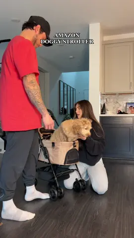 tell me you live in the suburbs without telling me 🙃😅 #fyp #dogstroller #dogsupplies #dogmom #puppylife #cockapoo #dogtok #foryou #viral #strollers #puppylove 