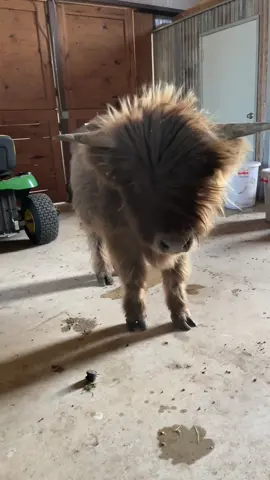 Duncan loves a good breeze 
