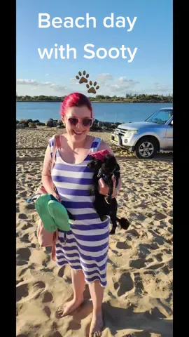 Yesterday we took our Sooty baby to the beach, and he loved it. He went in the water what he doesn't usually do. Happy days 😀#toypoodle #beachvibes #Summer  #poodlelover 