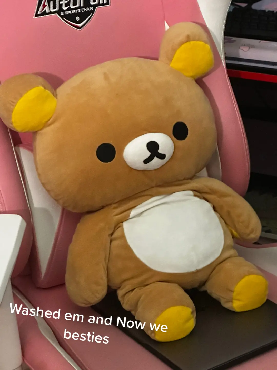 #rilakkuma 