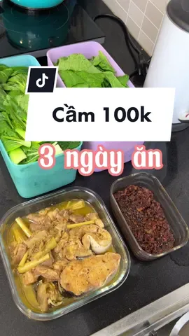100k mà ăn được 3 ngày nhá! Bác nào hết tiền tham khảo ngay, #giadinhnunnun #fyp #giadinh #comnha #samsamfm #trending 