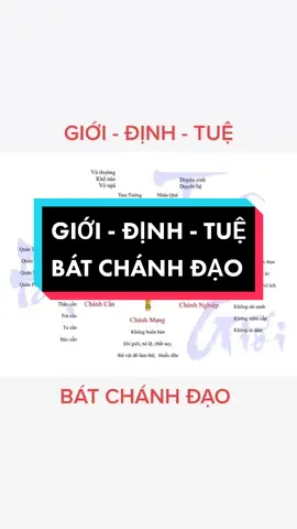 Bát Chánh Đạo hay Giới - Định - Tuệ #phatphapnhiemmau #batchanhdao #gioidinhtue #hocphapdegiaithoat #hocphapdethoatkho  #LearnOnTikTok 