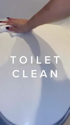 🤎 #pinesol #cometpowder #toiletclean #sudsy #simpleclean #satisfyingcleans 