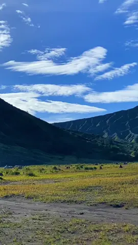 Bukit widodaren gunung bromo😍😍😍#bromo 